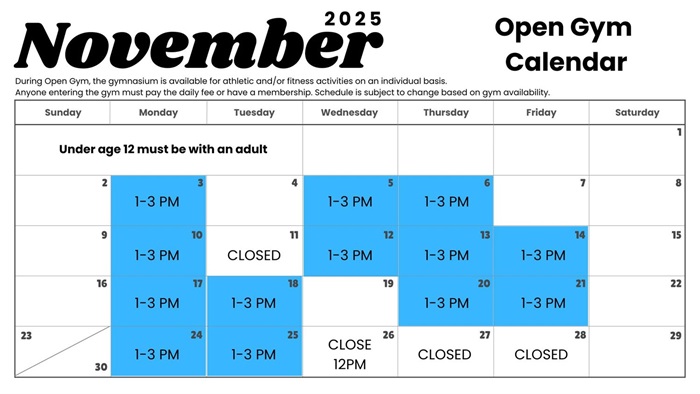 November Open Gym Drop In Calendar Updated.jpg