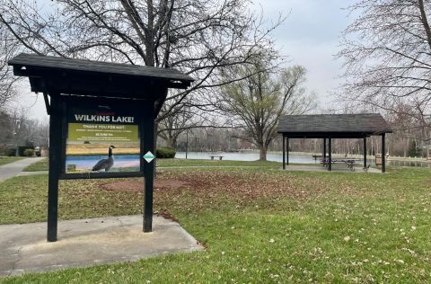 Wilkins Lake Pavilion.jpg