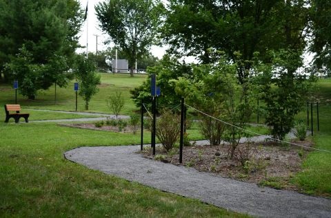 Sensory Trail.jpg