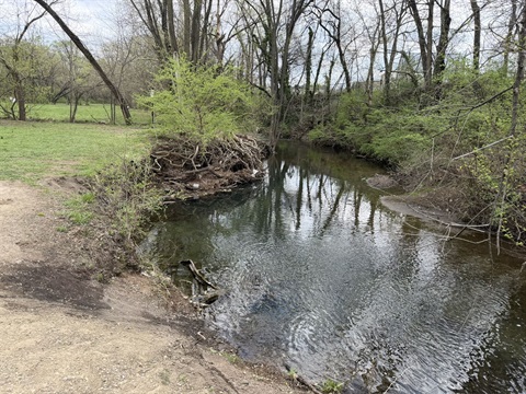 Abrams Creek Before.JPEG