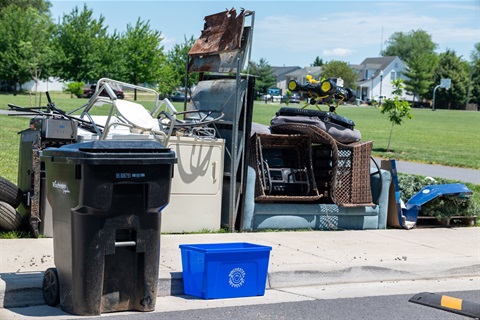 Clean-Up Days June 2026-7.jpg